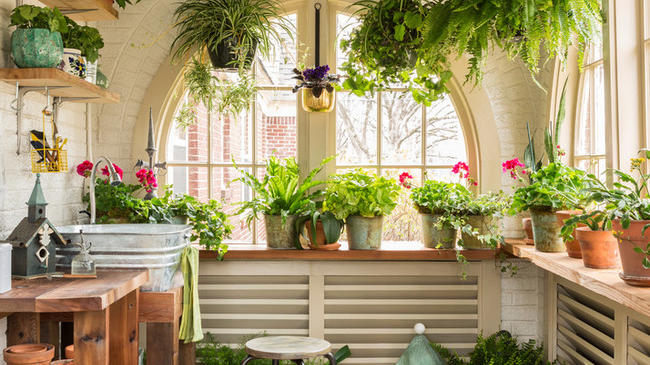 Garden Indoor