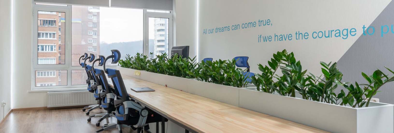 Read more about the article Top 5 office plants to boost your productivity